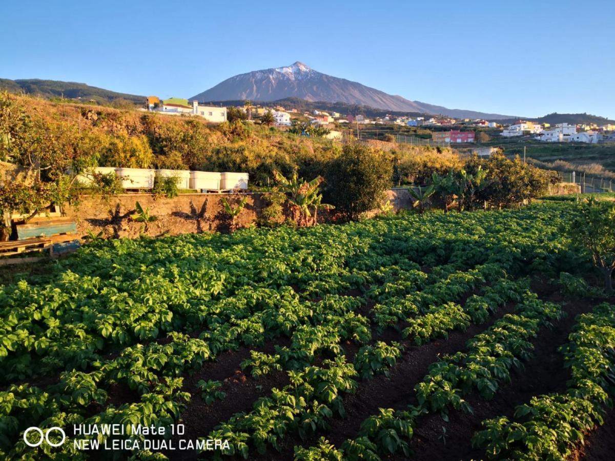 Finca Los Angeles San Juan de la Rambla Kültér fotó