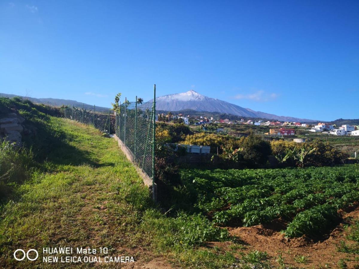 Finca Los Angeles San Juan de la Rambla Kültér fotó